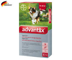 Bayer Advantix For Large Dogs 21 55 Lbs 10 25kg 4 Pack Large Dogs Dogs Dog Weight