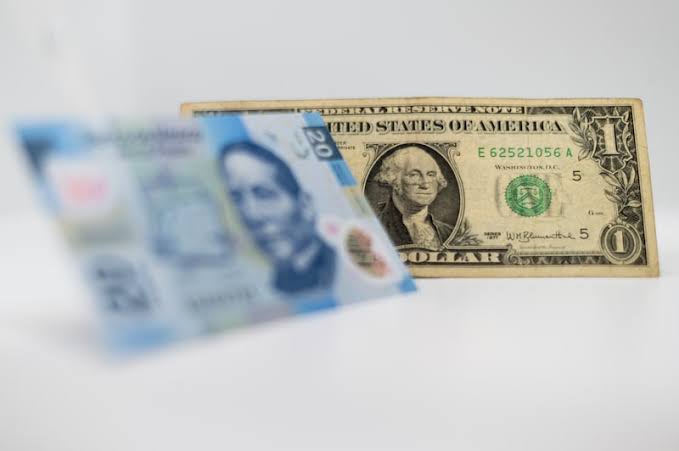 El peso y el dólar