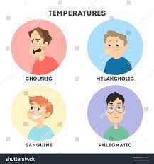 Types Temperaments Sanguine Choleric Phlegmatic Melancholic  库存矢量图（免版税）758711083 | Shutterstock