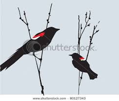Black Bird With Red Under Wing Pin By Erin Hull On My Style Black Bird Tattoo Red Bird Tattoos Black Bird