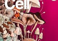 Best scientific journal covers from 2022