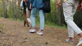 Caledonia Lakeside Park: Hike with a Naturalist