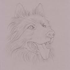 Use the hb pencil to draw the basic shape of the tail. Uart Tip Drawing Fur With Colored Pencils Step By Step