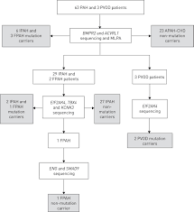 Genetic Analyses In A Cohort Of Children With Pulmonary