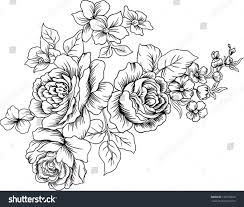 Shutterstock's safe search will exclude restricted content from your search results. Black And White Lined Design Vector With Of Flowers Black And White Flower Tattoo Vintage Flower Tattoo Flower Drawing