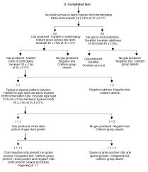 Test For Coliforms In Water Environmental Science And