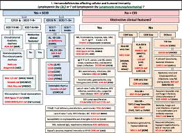 Image result for Humoral Immunodeficiency
