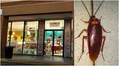 Resultado de imagen para cerrados restaurantes miami por cucarachas