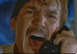 Family member Donna Loebler who owns a beautiful ROCKFORD FILES replica  Firebird had the incredible opportunity to meet TOM ATKINS “Lt. Diehl” in  the show. Not only did she meet Tom, but