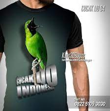 Pin On Kaos Burung Bahan Premium