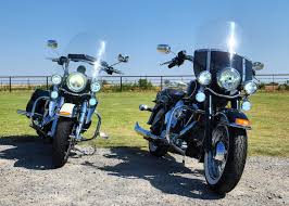 Image result for Vivid Black 1994 FXSTS