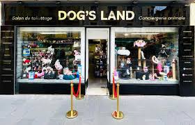 La conciergerie de DOG’S LAND Nice