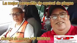 Control de Plagas Jose Berroa. VIP gestora de servicios Berroa