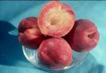 The skin has a wonderful red blush with. 12 Promising Peach Cultivars For Florida Growing Produce
