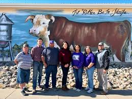 Please join MEF in welcoming our new Board President, Beth Kerzee. Recently  retired after 23 years of teaching in Texas and 12 years in China, Beth has  served as a church musician