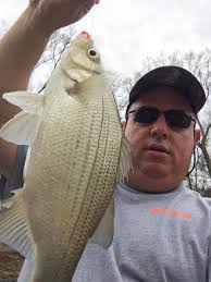 Little falls of bass river June 26 2021