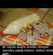 En Guzel Dualar En Kalbi Sozler Duadualar Allah Islam Hadis Namaz Mevlana Kuran Kuranikerim Ayet Kabe Aile Ask Pet Paradise Fun Facts Funny Ads