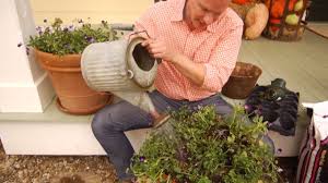 We did not find results for: Planting Tulip Bulbs In Containers At Home With P Allen Smith Youtube