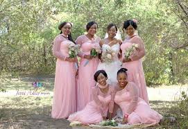 Bridesmaids In Blush Pink Dresses Zimbabwe Blush Pink Dresses Pink Dress Blush Pink Weddings