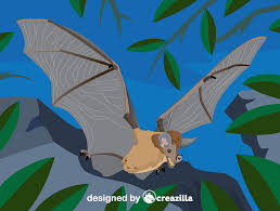 On tuesday we asked you. Spectral Bat Vector Free Download Creazilla