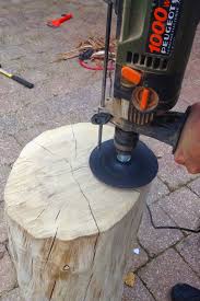 Une Semaine A Paris Foret Bricoler Une Buche Dans L Entree Tronc De Bois Deco Bois Tronc D Arbre