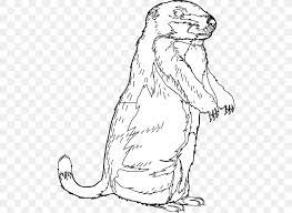 Download these free groundhog clipart for your personal works and. The Groundhog Clip Art Groundhog Day Openclipart Png 498x598px Groundhog Animal Figure Artwork Beaver Black And
