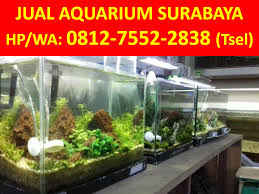 Akuarium akrilik bandung saat ini sedang tenar, banyak pecinta ikan hias yang beralih dari akuarium kaca menutu akuarium akrilik, disana banyak yang jual akuarium jenis akrilik. Hp Wa 0812 7552 2838 Tsel Jual Aquarium Surabaya Medium