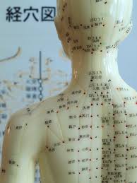 acupuncture meridian chart and model