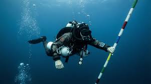 Image result for Decompression Sickness