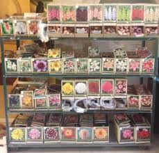 Humboldt seed co, regular seeds. The Seed Bank Sonomacounty Com
