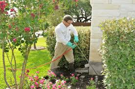 Abc is an award winning provider of home and commercial pest control, air conditioning, heating, lawn care and more. Lawn Services Houston Tx Abc Home Commercial Services