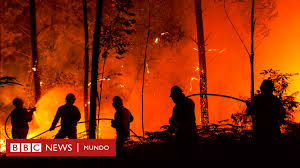 Joerg widmoser (violin) and tess gerritsen (piano) performing the violin/piano duet of incendio. music composed by tess gerritsen. Que Son Las Tormentas De Fuego Que Cada Vez Son Mas Frecuentes Y Por Que Son Tan Dificiles De Combatir Bbc News Mundo