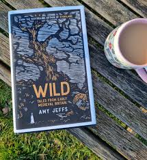 Reviewing 'Wild: Tales from Early Medieval Britain'