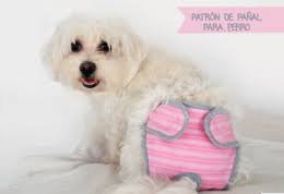 Mimi Y Tara Patrones De Ropa Para Perros Establecer como página de inicio. mimi y tara patrones de ropa para perros