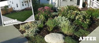 Check spelling or type a new query. Customer Garden A Neighborhood Native Garden In Denver Colorado High Country Gardens Blog