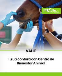 Bienestar Animal Tulua Centro Veterinario