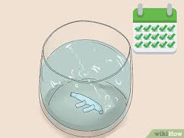 It is made up of tubing with two small prongs that fit into the patient's nostrils. 3 Ways To Insert A Nasal Cannula Wikihow