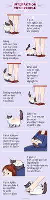 These Illustrations Will Help You Understand Cat Language Better I Can Has Cheezburger Cat Behavior Cat Language Crazy Cats