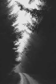 Black And White Scenery Wallpaper Pin On Mobile Wallpapers