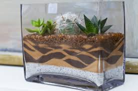 Pin De Daniel Moreno En Suculentas Jardines Tropicales Terrarios Como Hacer Terrarios