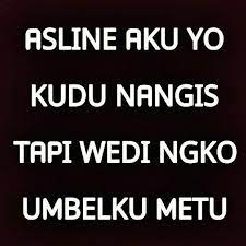 Aku kudu piye koyo ora kuat rasane urip dewe tanpo kowe nelongso atiku netes banyu eluhku yen aku iling karo sliramu. 46 Kata Lucu Ideas Humor Funny Quotes Lucu