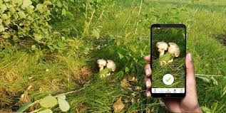 Dennoch gibt es bereiche, wie zum beispiel die pflege, in denen wir unser gesundheitswesen zukunftsgerichtet weiterentwickeln müssen. Apps Helfen Bei Der Bestimmung Von Pflanzen Pilzen Und Tieren Kolnische Rundschau