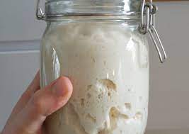 Check spelling or type a new query. Fare E Rinfrescare Il Lievito Madre Gasta