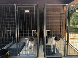 Dog boarding is the safe, loving alternative to a kennel. Cheap Dog Boarding Kennels Near Me Off 52 Www Usushimd Com