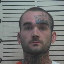 Update: Man arrested in incident in which deputy shoots, kills attacking dog