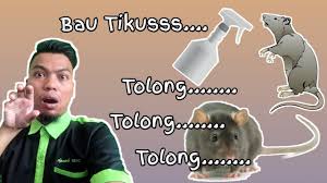 Bau kencing kucing memang kuat dan susah dihilangkan. Cara Mengeluarkan Bau Kencing Kucing Dari Sofa Rakyat Dan Cara Khas Untuk Menghilangkan Kesan Dari Sofa Dan Bau Perabot
