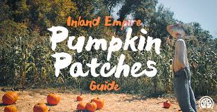 Maybe you would like to learn more about one of these? Inland Empire Pumpkin Patches Ieshineon