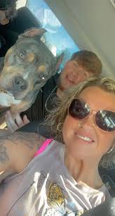 skys_the_limit_bullys