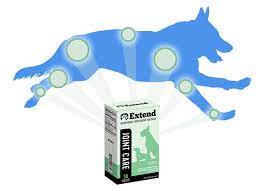This was the first and most important question our team wanted to address in our research. Extend Pets Dog Joint Care