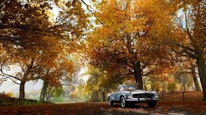 The continent of africa is for horizon 5. Forza Horizon 5 Angebliche Karte Zeigt Japan Als Neue Region